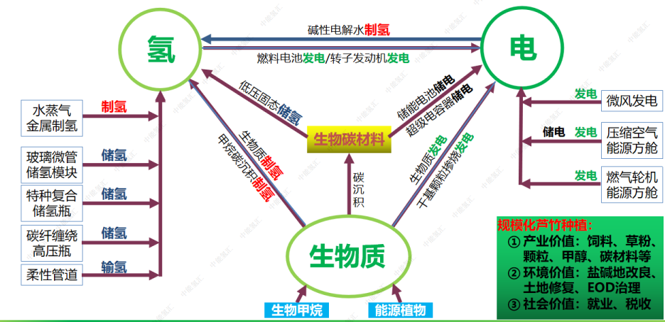 新能源领域的零碳、负碳技术的开发与应用。